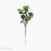 Pick Eucalyptus Com Pó Artificial - Verde (9956)