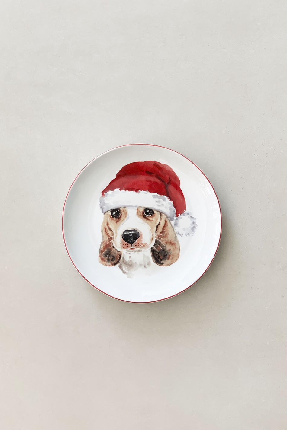Prato Christmas Dog