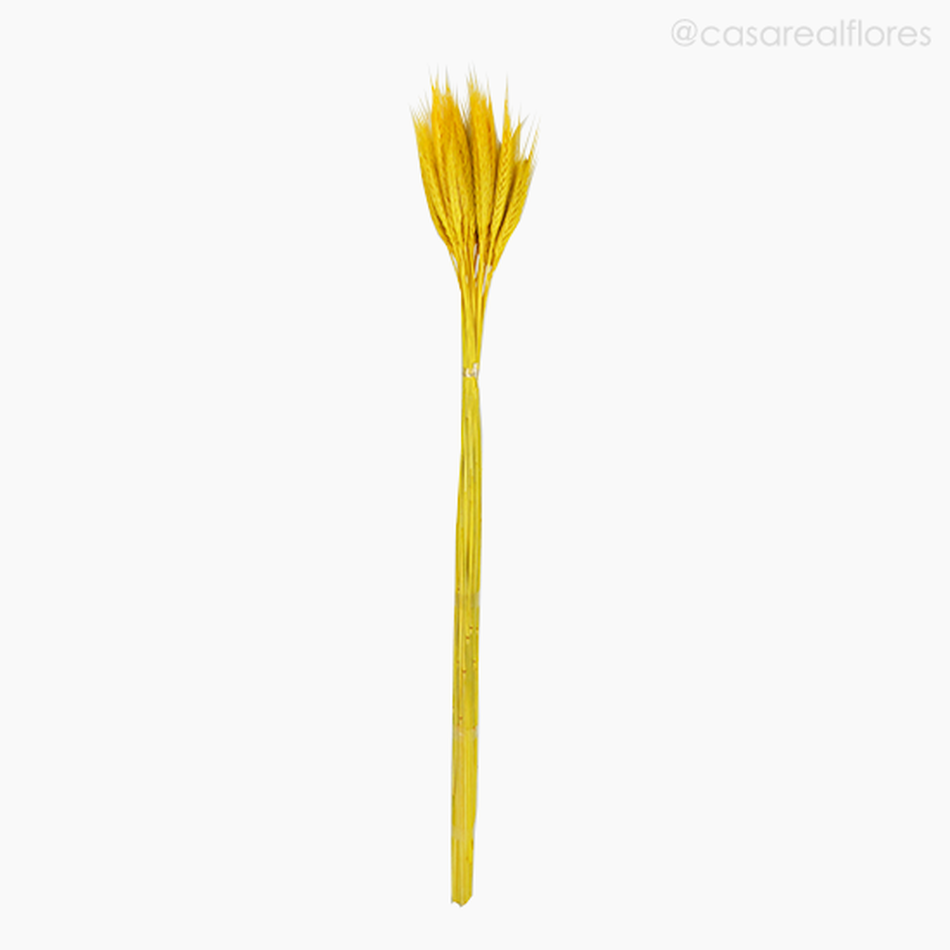 Imagem 1 do produto Trigo Colorido Seco - Amarelo (1116412)