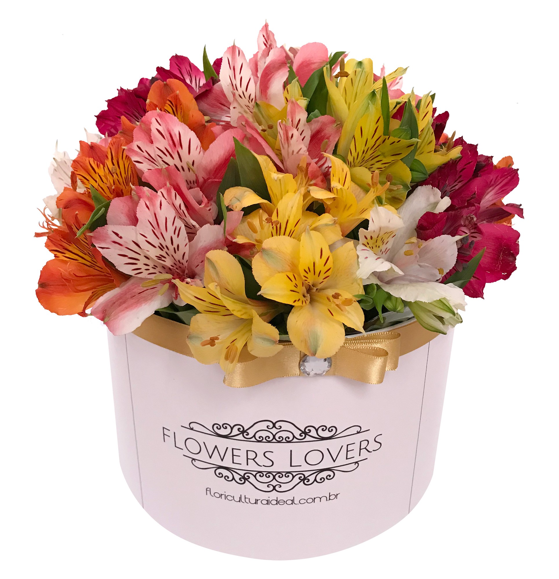 Foto do produto Box Flowers Astromélias