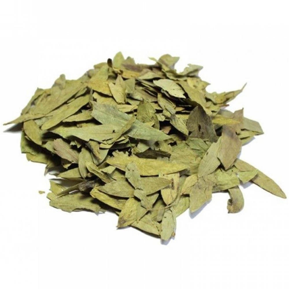 Chá de Sene - Cassia angustifolia Vahl - 100g